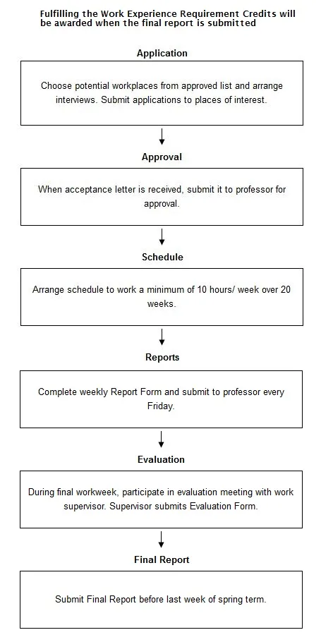 Process: University students work experience requirement process