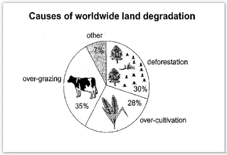 Combination: Agricultural land productivity loss causes and effects (visual 1 of 2)