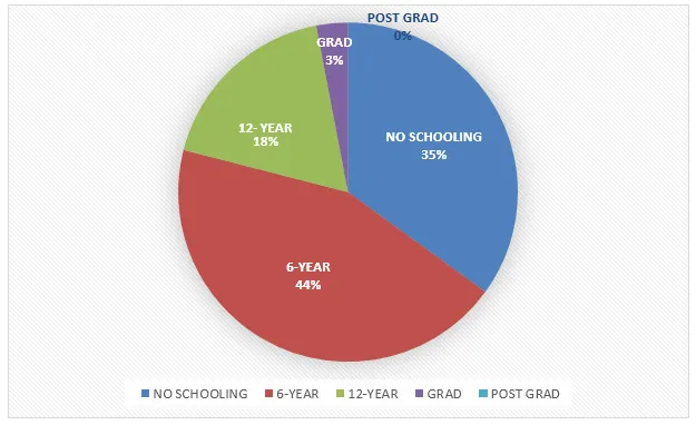 Pie Chart: Women's education levels in Sri Lanka 1965-1995 (visual 1 of 2)